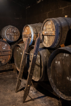 Aging process of cognac spirit in old dark French oak barrels in cellar in distillery house, Cognac...