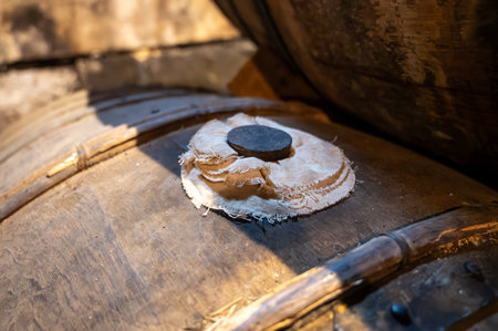 Aging process of cognac spirit in old dark French oak barrels in cellar in distillery house, Cognac...
