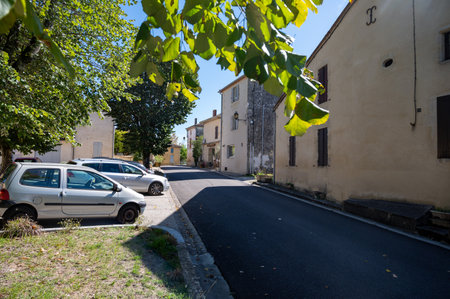 View on Sauternes village and vineyards, making of sweet dessert Sauternes wines from Semillon grapes affected by Botrytis cinerea noble rot, Bordeaux, Franceの写真素材