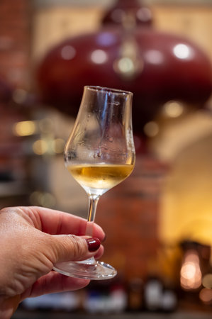 Tasting of cognac spirit aged in old dark French oak barrels in cellar in distillery house, Cognac white wine region, Charente, Segonzac, Grand Champagne, Franceの写真素材