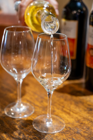 Tasting of sweet white dessert Sauternes wines in old wine domain on Sauternes vineyards in Barsac village affected by Botrytis cinerea noble rot, Bordeaux, Franceの写真素材