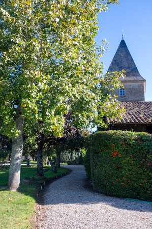 Views of old wine domain on Sauternes vineyards in Barsac village affected by Botrytis cinerea noble rot, making of sweet dessert Sauternes wines in Bordeaux, Franceの写真素材