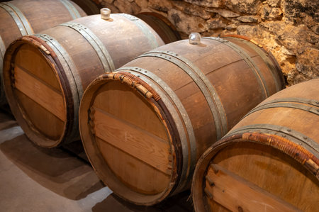 Wine cellar with oak wooden barrels in old wine domain on Sauternes vineyards in Barsac village with grapes affected by Botrytis cinerea noble rot, making of sweet dessert Sauternes wines in Bordeaux, Franceの写真素材