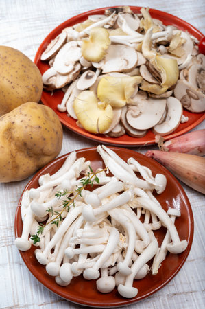 White shimeji edible mushrooms native to East Asia, buna-shimeji is widely cultivated and rich in umami tasting compounds. Mushrooms mix.の写真素材