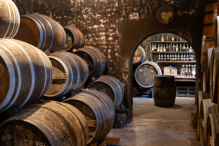 Aging process of cognac spirit in old dark French oak barrels in cellar in distillery house, Cognac white wine region, Charente, Segonzac, Grand Champagne, Franceの写真素材