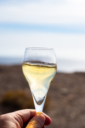 Pouring a glass of champagne on vacation, south of Fuerteventura, Canary islands, blue ocean, mountains, Spainの写真素材