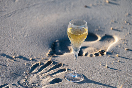 Glass of cava or champagne sparkling wine, winter vacation, low tide on Dunes Corralejo sandy beach, Fuerteventura, Canary islands, Spainの写真素材