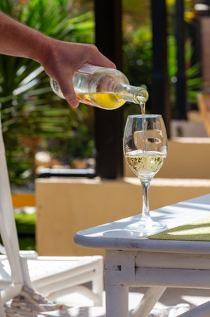 Waiter pouring white wine into glass on white terrace table outdoor in sunny day with palm trees on backgroundの写真素材