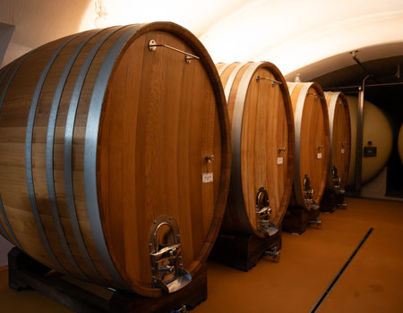 Wooden barrels. Traditional method of production of cremant sparkling wine in south part of Luxembourg country on bank of Moezel, also known as Mosel, Moselle or Musel river.のeditorial素材