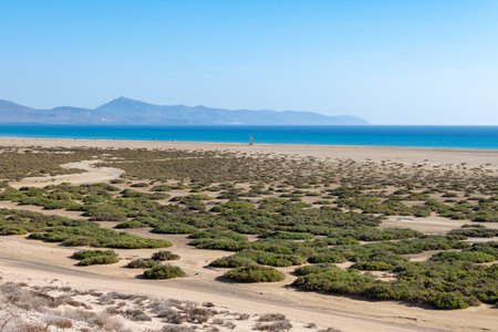 Sandy dunes and blue turquoise water of Sotavento beach, Costa Calma, Fuerteventura, Canary islands, Spain in winterの写真素材