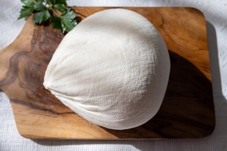 Freshly strained white soft goat cow sheep milk cheese, young Spanish cheese, close-upの写真素材