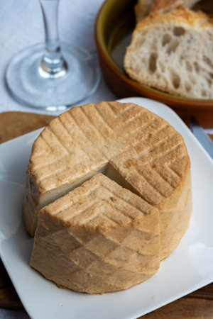 Cheese collection, piece of round fresh smoked Spanish goat cheese close upの写真素材