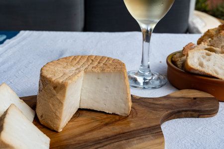 Cheese collection, piece of round fresh smoked Spanish goat cheese close upの写真素材