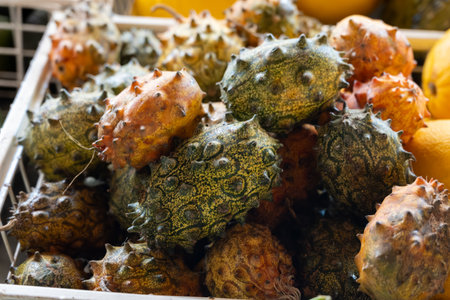 Kiwano tropical fruits, African horned cucumber, horned melon, spiked melon, jelly melon with horn-like spines, hence the name horned melonの写真素材