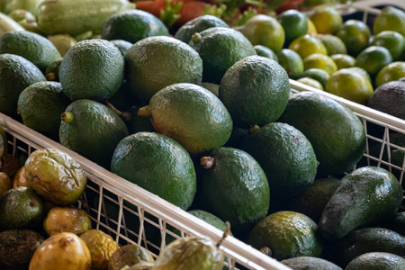 Fresh ripe green avocados, tropical fruits and vegetables on farmers market on Fuerteventura, Canary islands, Spainの写真素材