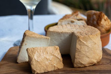 Cheese collection, piece of round fresh smoked Spanish goat cheese close upの写真素材