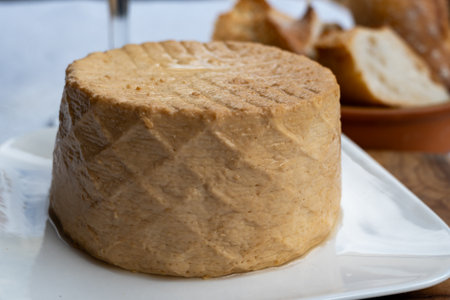 Cheese collection, piece of round fresh smoked Spanish goat cheese close upの写真素材