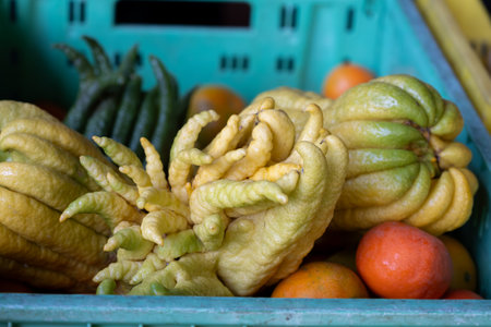 Buddha hands fruits, Citrus medica sarcodactylis, or fingered citron unusually-shaped citron variety on farmers market on Fuerteventura, Spainの写真素材
