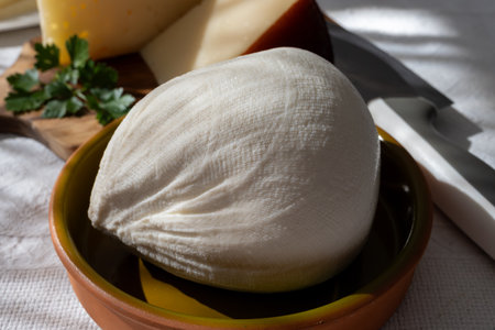 Freshly strained white soft goat cow sheep milk cheese, young Spanish cheese, close-upの写真素材