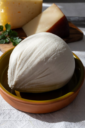 Freshly strained white soft goat cow sheep milk cheese, young Spanish cheese, close-upの写真素材