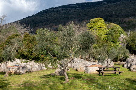 View on natural Monument Campo Soriano and olive trees, Lazio, Italy in winterの写真素材