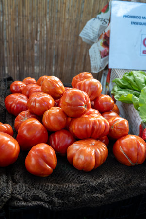 New harvest of fresh ripe red tomatoes in box on farmers marketの写真素材