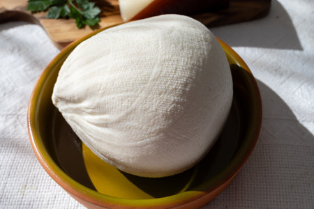 Freshly strained white soft goat cow sheep milk cheese, young Spanish cheese, close-upの写真素材