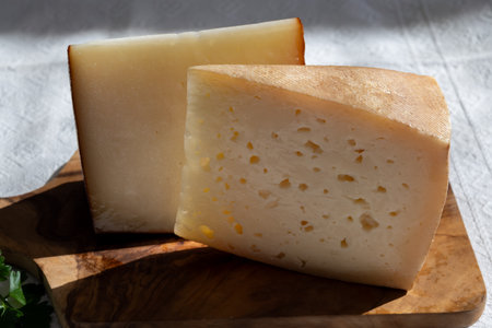 Spanish hard manchego, cow, sheep and goat cheese close upの写真素材