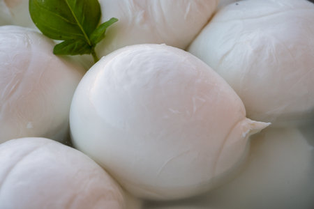 Cheese collection, many fresh white balls of soft Italian cheese mozzarella, on organic cheese farm, Latina, Italyの写真素材