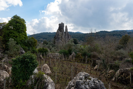 View on natural Monument Campo Soriano and olive trees, Lazio, Italy in winterの写真素材