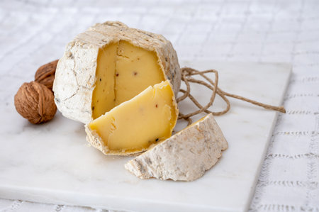 Italian small piece of hard cheese truffleino romano with black summer truffles mushrooms close upの写真素材