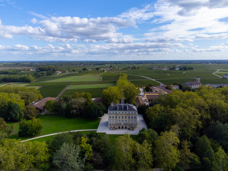 Aerial views of typical French wine domain or chateau in Haut-Medoc red wine making region, Margaux...
