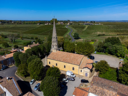 Aerial view on Sauternes village and vineyards, making of sweet dessert Sauternes wines from Semillon grapes affected by Botrytis cinerea noble rot, Bordeaux, Franceの写真素材