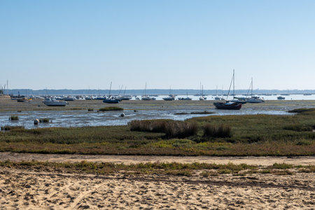 View on Arcachon Bay at low tide with many fisherman's boats and oysters farms from Cap Ferret peninsula, France, southwest of Bordeaux along France's Atlantic coastlineの写真素材
