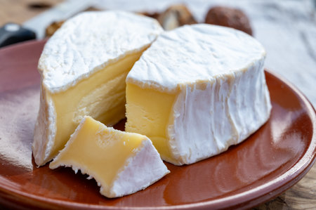 Cheese collection, French cheese from Normandy region, heart-shaped Neufchatel from farm shop close upの写真素材