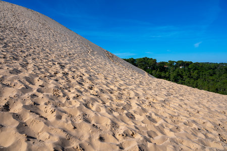 View of Dune of Pilat tallest sand dune in Europe located in La Teste-de-Buch in Arcachon Bay area, France southwest of Bordeaux along France's Atlantic coastline in sunny dayの写真素材