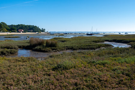 View on Arcachon Bay at low tide with many fisherman's boats and oysters farms from Cap Ferret peninsula, France, southwest of Bordeaux along France's Atlantic coastlineの写真素材