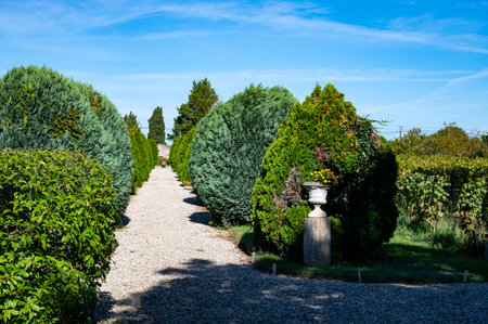 Views of old wine domain on Sauternes vineyards in Barsac village affected by Botrytis cinerea noble rot, making of sweet dessert Sauternes wines in Bordeaux, Franceの写真素材