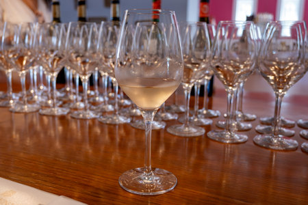 Wine tasting in old wine domain, Saint Estephe village, Haut-Medoc vineyards in Bordeaux, left bank of Gironde Estuary, France, wine tour in Bordeaux, travel destinationの写真素材