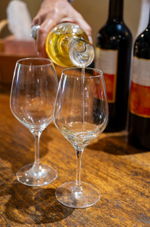 Tasting of sweet white dessert Sauternes wines in old wine domain on Sauternes vineyards in Barsac village affected by Botrytis cinerea noble rot, Bordeaux, Franceの写真素材
