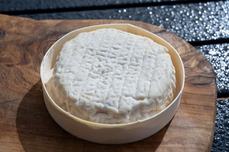 Cheese collection, French Perail let Buissieres white soft cheese made from sheep milk from Aveyron, France close upの写真素材