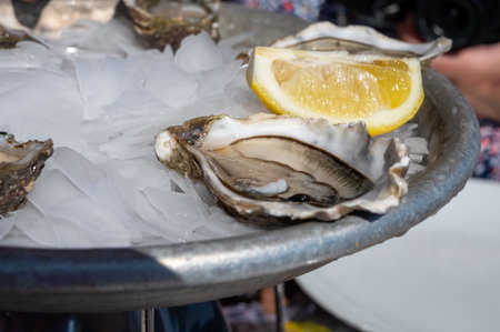Eating of fresh live oysters with citron at farm cafe in oyster-farming village, with view on boats and water of Arcachon bay, Cap Ferret peninsula, Bordeaux, France in sunny dayの写真素材