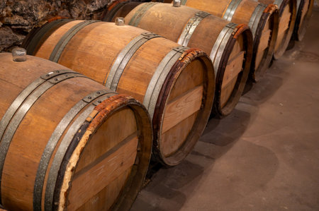 Wine cellar with oak wooden barrels in old wine domain on Sauternes vineyards in Barsac village with grapes affected by Botrytis cinerea noble rot, making of sweet dessert Sauternes wines in Bordeaux, Franceの写真素材