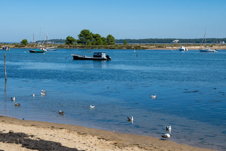 View on Arcachon Bay with many fisherman's boats and oysters farms near Le Phare du Cap Ferret, Cap Ferret peninsula, France, southwest of Bordeaux, France's Atlantic coastline in sunny dayの写真素材