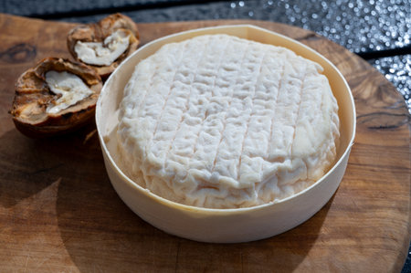 Cheese collection, French Perail let Buissieres white soft cheese made from sheep milk from Aveyron, France close upの写真素材