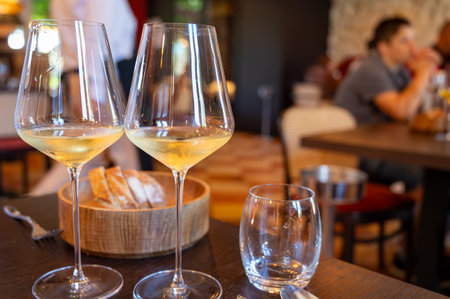 Tasting of Bordeaux white wine in Sauternes, left bank of Gironde Estuary, France. Glasses of white sweet French wine served in restaurantの写真素材