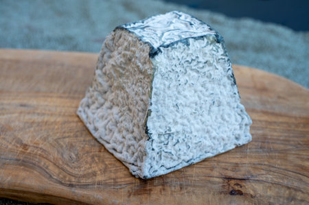 Cheese collection, French Pouligny pyramid cheese made from goat milk in region Pouligny-Saint-Pierre in France close up with black moldの写真素材