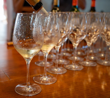 Wine tasting in old wine domain, Saint Estephe village, Haut-Medoc vineyards in Bordeaux, left bank of Gironde Estuary, France, wine tour in Bordeaux, travel destinationの写真素材