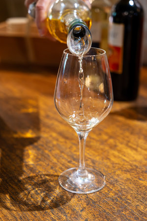 Tasting of sweet white dessert Sauternes wines in old wine domain on Sauternes vineyards in Barsac village affected by Botrytis cinerea noble rot, Bordeaux, Franceの写真素材