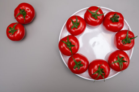 Red ripe tasty Dutch tomatoes growing indoor in greenhouse all seasons, food industry in Netherlands, close up copy spaceの写真素材